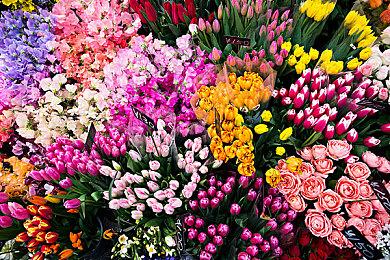 3DM速报：暴雪网易协议到期 《使命召唤：战区2》玩家数破40万