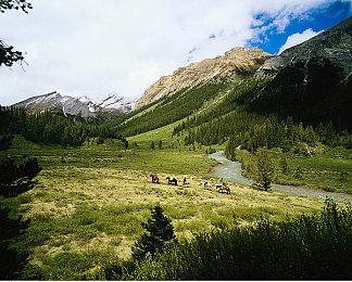 《赛博朋克2077》Steam30天评价为好评如潮 开发者激动万分